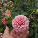 송준호농장 이미지