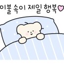 가리미김밥 이미지