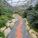 중부대로798번길 이미지