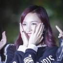 나파 이미지