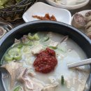백번식당 | 대구 100번식당 백번식당 순대국밥 막창순대 섞어국밥 수육 내돈내산 솔직 후기