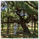 신도태백센터 | [사주나루 대동여지도] 10월 초발원 현황