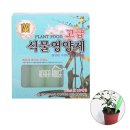 딸기마을 이미지