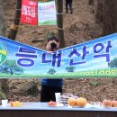 [부산] 등대산악회 시산제 후기---2024년 2월 13일(화) 이미지