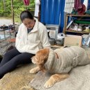 라이프파트너 이미지