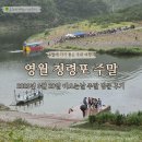 영월-6 | 강원도 영월 단종 유배지 청령포 6월 주말 비 오는 날 방문 후기