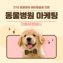 더블유동물병원 | 센텀시티 동물병원, 진료 실력만으로는 선택받기 어려운 이유