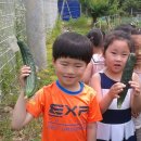 동산자연유치원 이미지