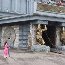 쌍둥이 목장 이미지