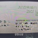 신입 공무원 또 사망···괴산군청 9급 출근 62일 만에 숨진 채 발견 이미지