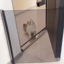 879 쇼핑하우