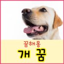 개꿈 이미지