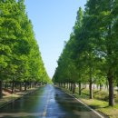 힐링공간 이미지