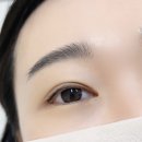 보네르 브로우