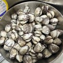 부일수산 이미지