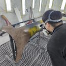 성실자동차 이미지