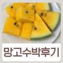 블랙 망고수박 먹어본 후기 꿀수박