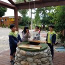 월천농장 이미지