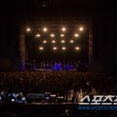 펌킨즈