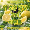 이촌전자