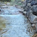 오송송어장 이미지