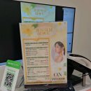 강남-285 이미지