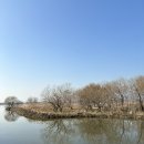 화명생태공원(화명운동장 내) | 🐶🌿 부산 북구 ‘화명생태공원’ – 강아지랑 함께하는 힐링 산책 코스!