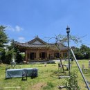 효효 | 양산 효효 카페 블루베리 체험 부산 울산 드라이브