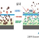 에어존 이미지