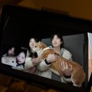 시청길12번길 | 145. 일상 : 3!4!