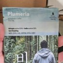 NCS 커피 레귤레이션 바리스타 1 - 커피 그라인더 및 커피 추출 | 로스팅원두의 깊은 풍미 그대로, 애크로매틱 커피 비숲 드립백 후기 (드립백커피 추천)