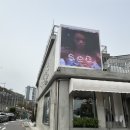 [트랜드 LAB] 한남 워킹위드프렌드 “SEA NEW YORK 서울 “ 팝업 스토어 방문 후기