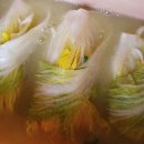 김태순농장 | 봄봄~ 해남 밤을잊은농부들의 소셜(SNS)마케팅 스터디_04 (블로그 리뷰)