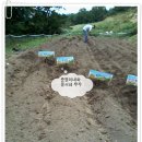 준서네 농장 이미지