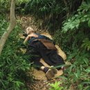 더마음모리 이미지