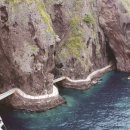 신비로-3 이미지