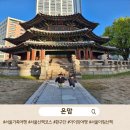 간선-65 | 서울 아침 산책 코스 추천｜웨스틴조선호텔에서 환구단과 덕수궁을 아이들과 걸어본 가족 여행기
