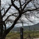 리버트리 | 나주 남평읍 전망좋은 예쁜카페 리버트리 후기