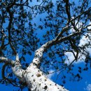 수덕사 야영장 이미지