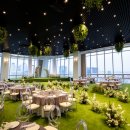 다르미앙 이미지