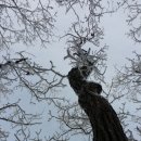 나들목산장 이미지