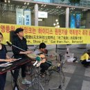 하이디스