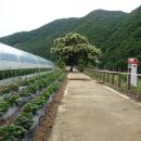 DMZ평화의길 평화쉼터 이미지