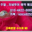 용인 타운하우스 단독형 고급타운하우스 등잔770 답사 후기