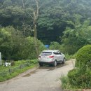 오리대감 이미지