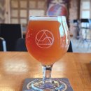 BALANCED | 전주 술집 노매딕 비어템플｜웨리단길 맛집에서 수제맥주 혼술 후기 (IPA, 사워에일)