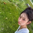 이솔 이미지