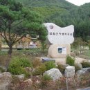 일월산관광 이미지