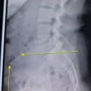 아나파신경과의원 이미지