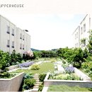 내곡동273 이미지